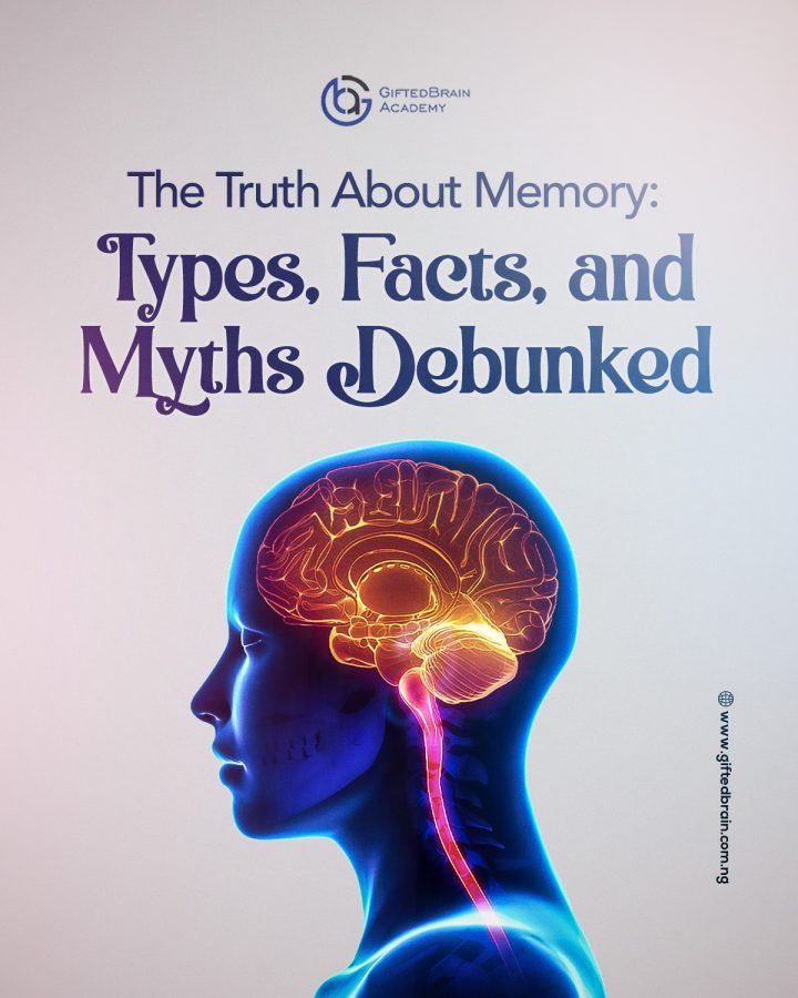 The Truth about Memory: Types, Facts and Myths Debunked